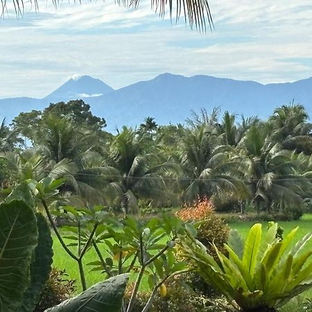 Sumatra Expedition Lodge Букит-Лаванг Экстерьер фото
