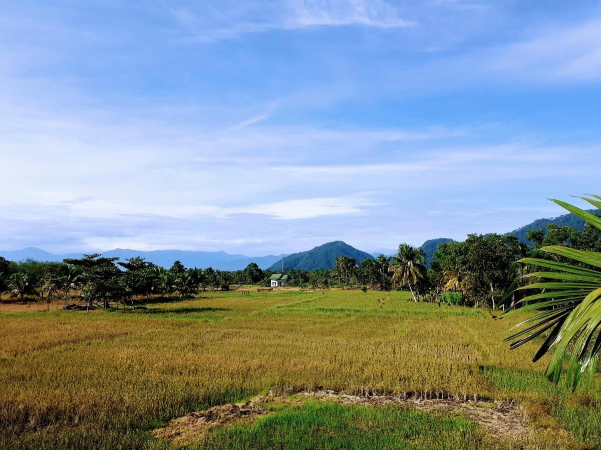 Sumatra Expedition Lodge Букит-Лаванг Экстерьер фото