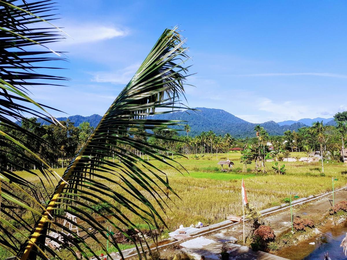 Sumatra Expedition Lodge Букит-Лаванг Экстерьер фото