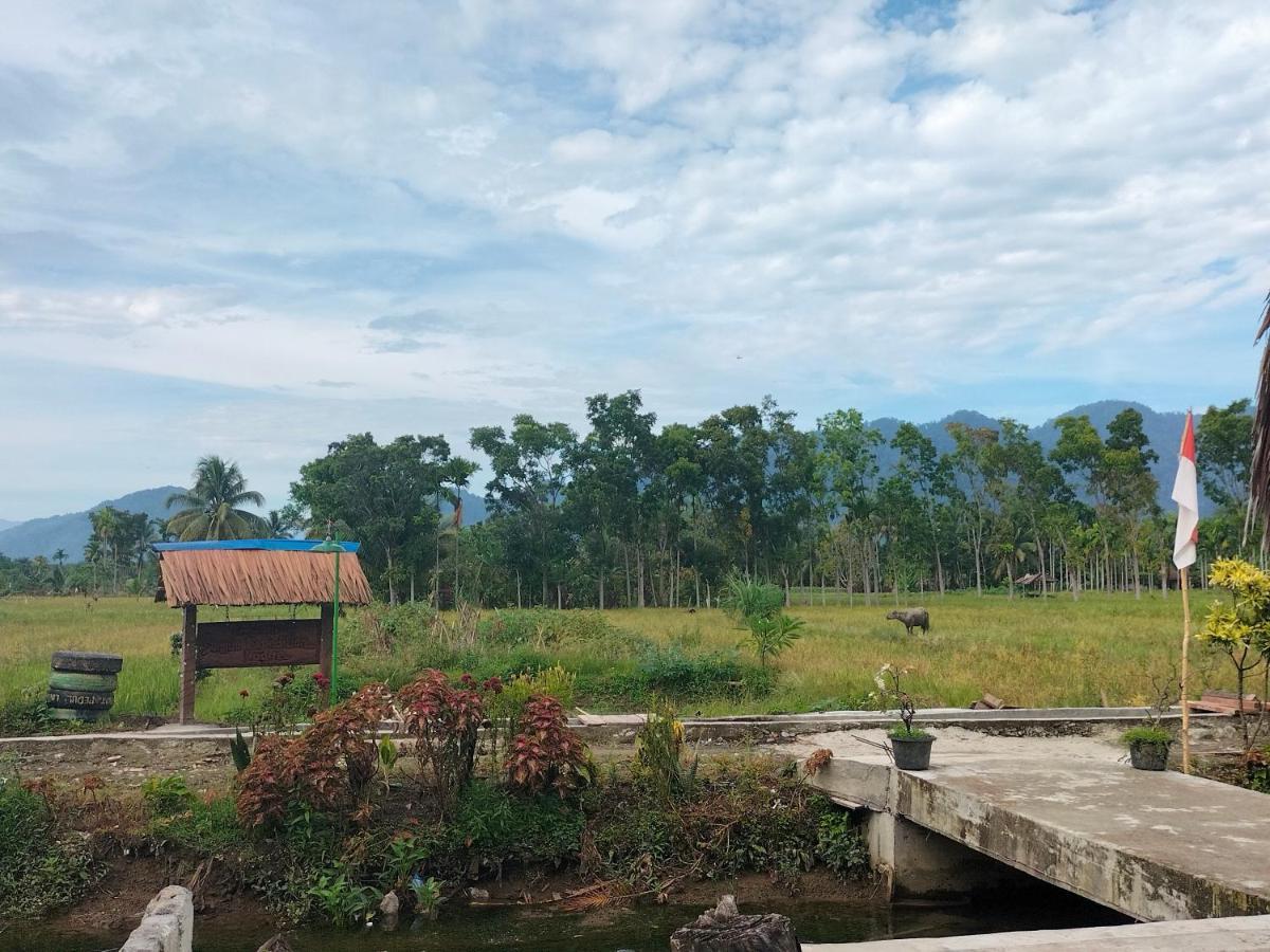 Sumatra Expedition Lodge Букит-Лаванг Экстерьер фото