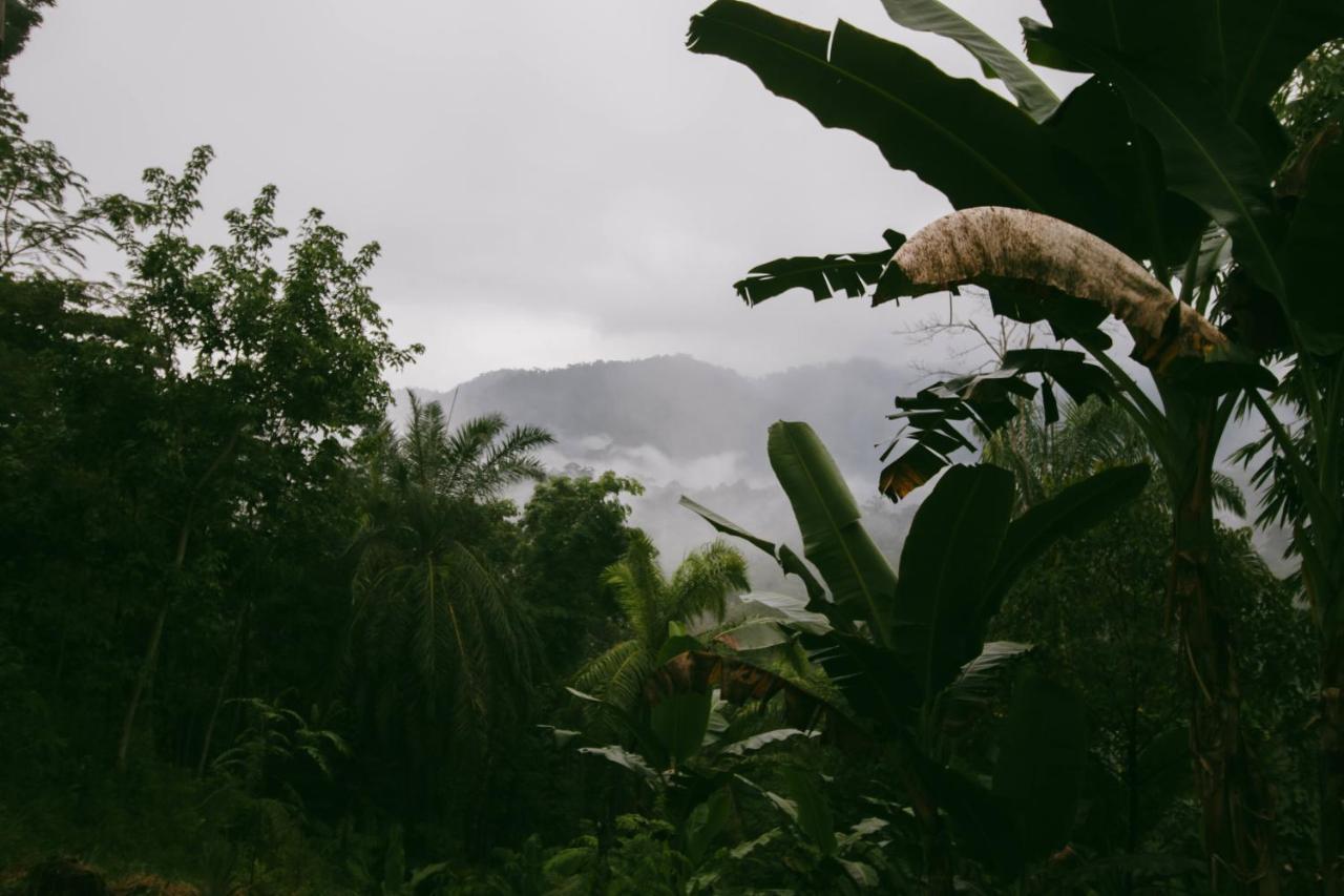 Sumatra Expedition Lodge Букит-Лаванг Экстерьер фото