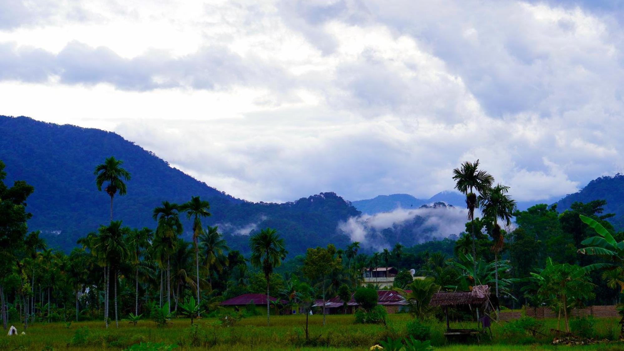 Sumatra Expedition Lodge Букит-Лаванг Экстерьер фото