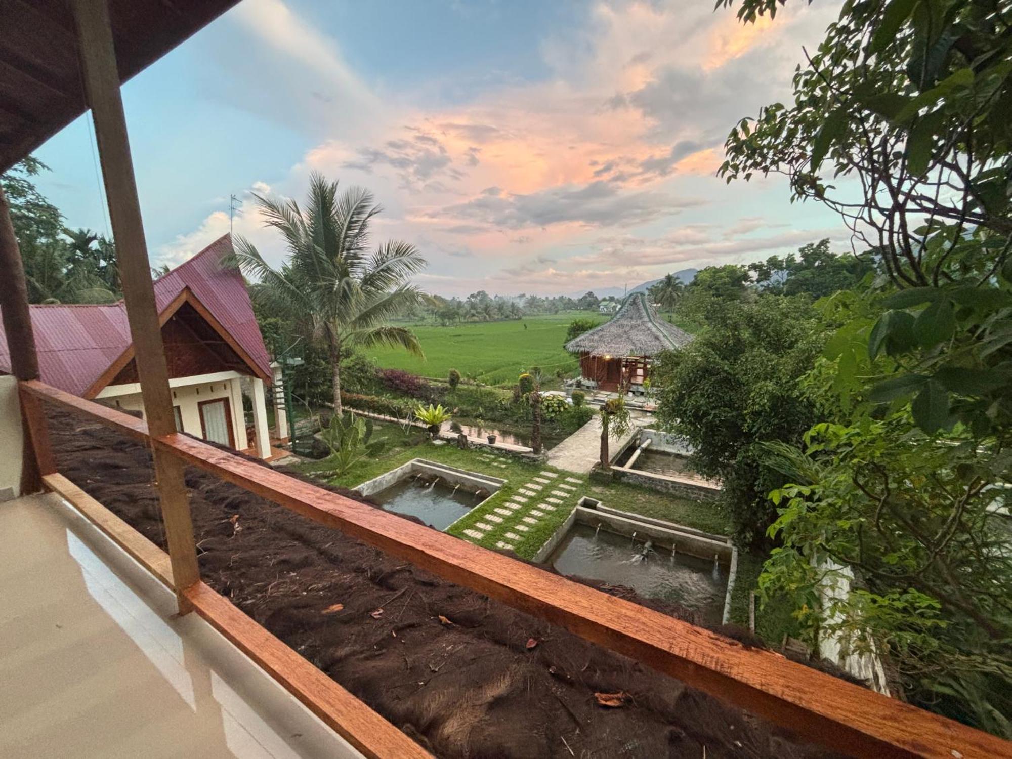 Sumatra Expedition Lodge Букит-Лаванг Экстерьер фото