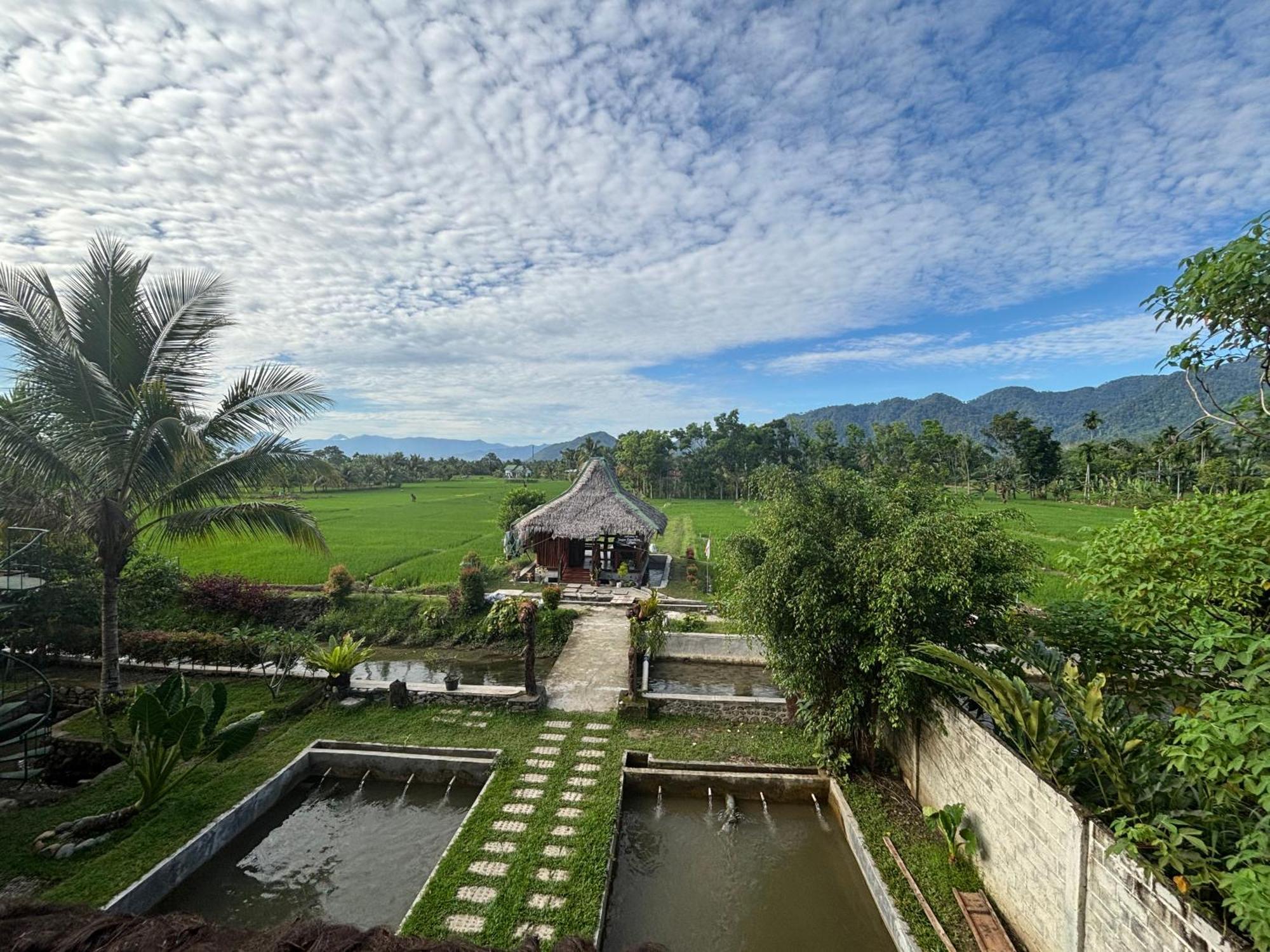 Sumatra Expedition Lodge Букит-Лаванг Экстерьер фото